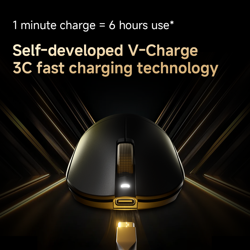 VGN Dragonfly F2 Pro Max Lightweight Wireless Mouse