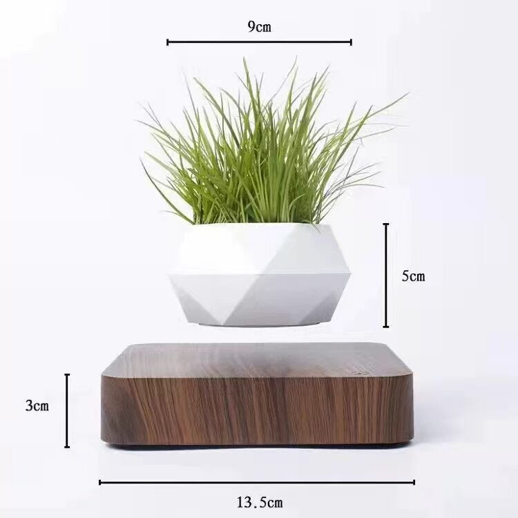 Magnetic Floating Plant Decor