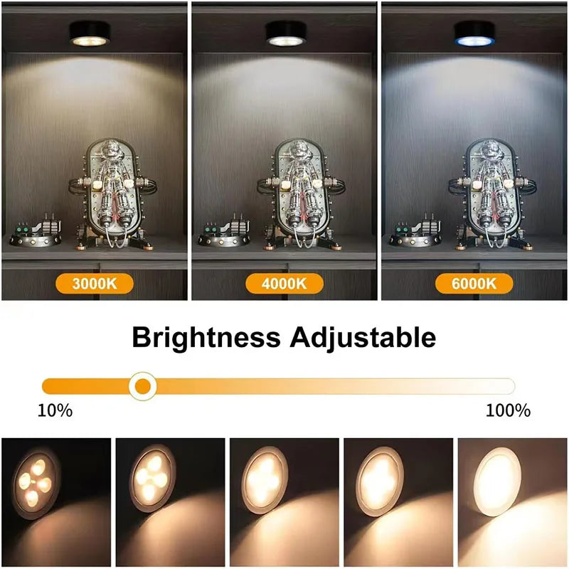 Magnetic LED Picture Light Remote Dimmable