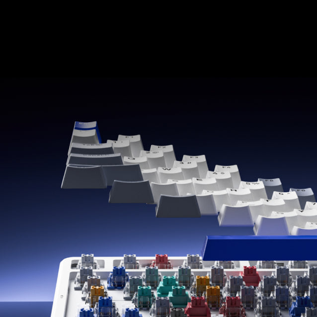 Rapoo V700DIY-98 Wireless Mechanical Gaming Keyboard