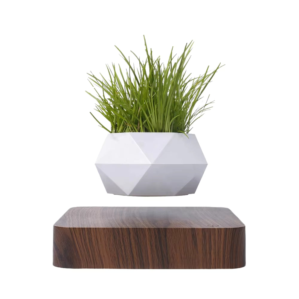Magnetic Floating Plant Decor