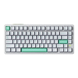 VGN Neon Ultra Esports Wireless Magnetic Gaming Keyboard